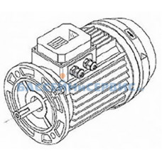 Двигатель к насосу KS-300 (220В) Kripsol RBM0030.30R / RMOT5040.20R